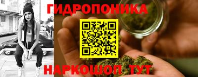 каннабис Новозыбков