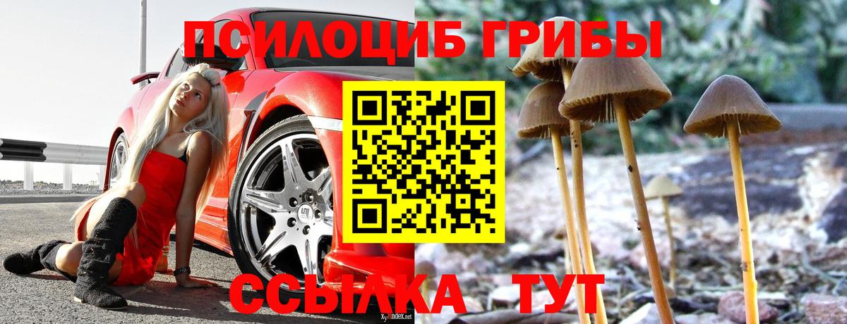 Псилоцибиновые грибы мухоморы Улан-Удэ